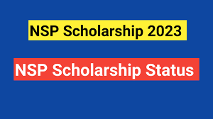 NSP Scholarship Status